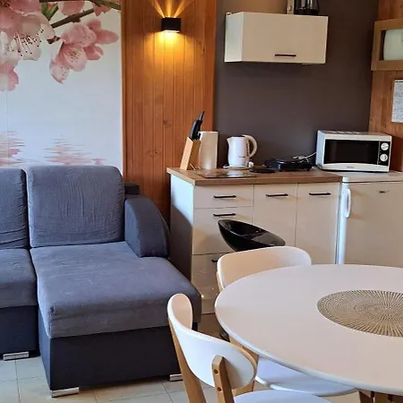 Wyjatkowy Z Sauna W Rewalu Apartment Rewal