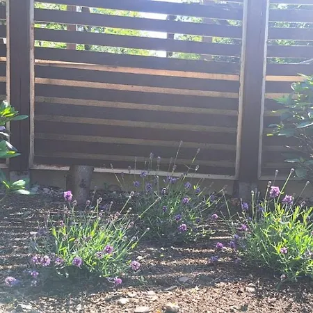 Wyjatkowy Z Sauna W Rewalu
